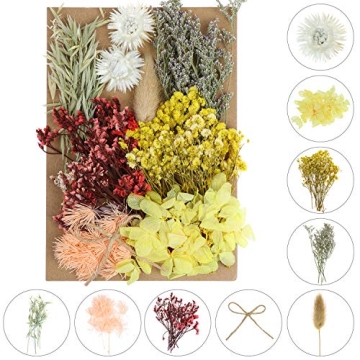 131pcs Colorful DIY Dried Flowers for Creative Projects