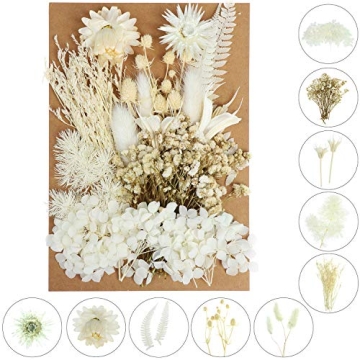 131pcs Colorful DIY Dried Flowers for Creative Projects