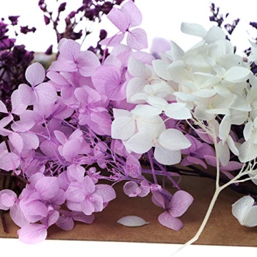 131pcs Colorful DIY Dried Flowers for Creative Projects