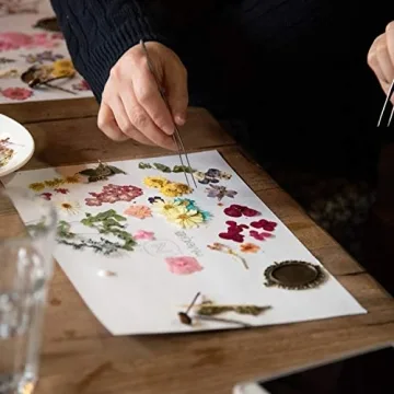 131pcs Colorful DIY Dried Flowers for Creative Projects