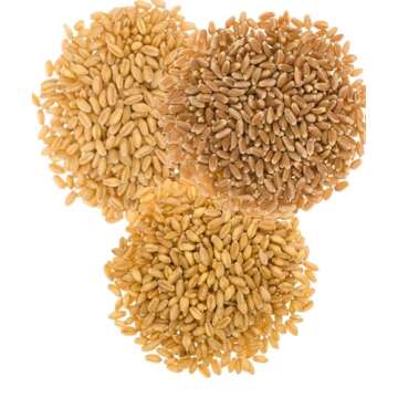 Certified Glyphosate Residue Free Hard White Wheat, Soft White Wheat, and Hard Red Spring Wheat | 9 ...