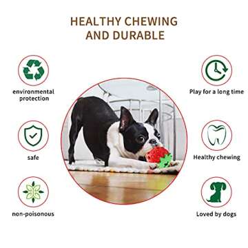 Askhald Strawberry Chew Toy for Aggressive Dogs