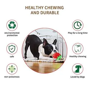 Askhald Strawberry Chew Toy for Aggressive Dogs
