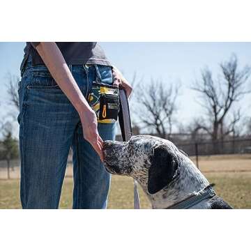 OllyDog Goodie Treat Bag, Dog Treat Pouch, Waist Belt Clip for Hands-Free Training, Magnetic Closure, Dog Training and Behavior Aids, Three Ways to Wear (Indie)