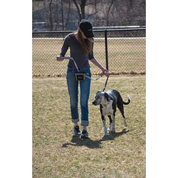 OllyDog Goodie Treat Bag, Dog Treat Pouch, Waist Belt Clip for Hands-Free Training, Magnetic Closure, Dog Training and Behavior Aids, Three Ways to Wear (Indie)