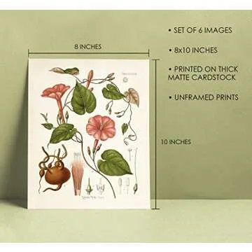 Vintage Botanical Flower Wall Decor, Set of 6 8x10 inches, Cottagecore Decor, Floral Wall Art Poster...
