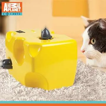 ANIMAL PLANET Automatic Peek-a-Boo Mouse & Cheese Interactive Toy for Cats, Features Built-In Auto Off Function, Pop Out Mice For Hours Of Entertainment, All Day Play W/Away Mode, Battery Operated