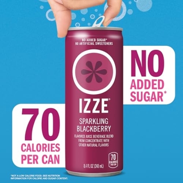 Izze Sparkling Juice Variety Pack - 24 Count