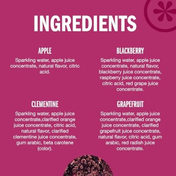 Izze Sparkling Juice Variety Pack - 24 Count