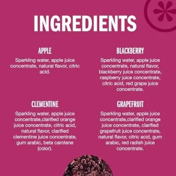 Izze Sparkling Juice Variety Pack - 24 Count