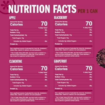 Izze Sparkling Juice Variety Pack - 24 Count