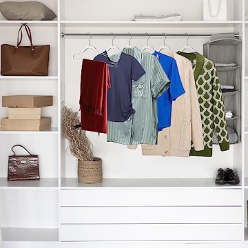 Quality Hangers Clear Plastic Hangers for Clothes | 10 Pack - 16.5 Inch | Heavy Duty Hangers Space Saving Crystal Clear Acrylic Hangers | 360 Degree Swivel Hook and Notches (Clear, 10)