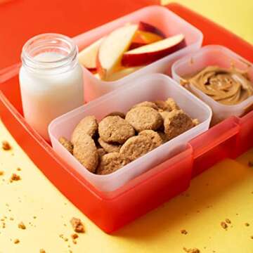 HighKey Sugar Free Peanut Butter Mini Cookies - Gluten Free Snacks