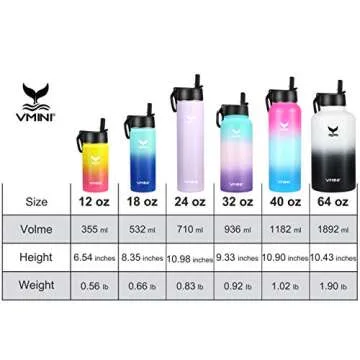Vmini Water Bottle - Insulated, Stainless Steel with Straw Lid