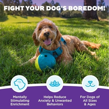 Outward Hound Treat Tumble Interactive Puzzle Ball - Level 1