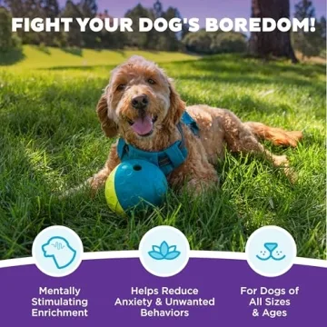 Outward Hound Treat Tumble Interactive Puzzle Ball - Level 1