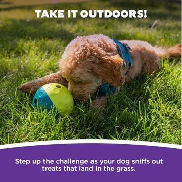 Outward Hound Treat Tumble Interactive Puzzle Ball - Level 1