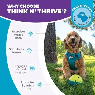 Outward Hound Treat Tumble Interactive Puzzle Ball - Level 1