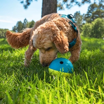Outward Hound Treat Tumble Interactive Puzzle Ball - Level 1