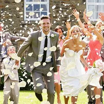 Ouddy Decor 5000 Pcs Rose Petals Artificial Flower for Valentine's Day Wedding Decor Romantic Night Event Anniversary Shower Engagement Party Home Decorations, Ivory