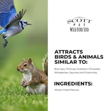 Scott Pet Wild Bird Seed Whole Peanuts for All Birds 4 lbs