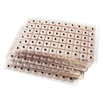 Discover Dragon Acupuncture 600 Counts Ear Seeds for Wellness