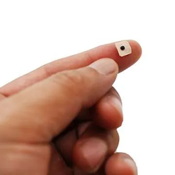 Discover Dragon Acupuncture 600 Counts Ear Seeds for Wellness