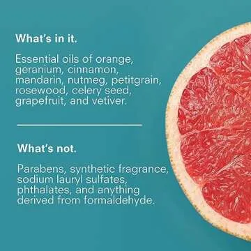 Public Goods Hand Soap | Cleansing Soap for Kitchen & Bathroom | Made with Natural Essential Oils | Paraben & Sulfate Free | Vegan Friendly | Made in Canada | 12 Fl Oz Bottle with Dispenser Pump