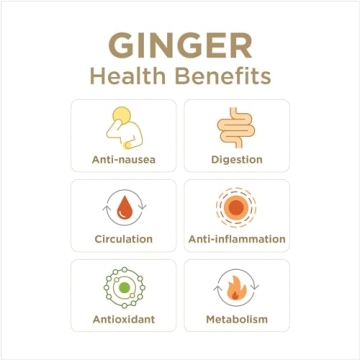 GIN GINS Original Ginger Chews – Natural Digestion Aid