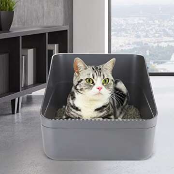 Sfozstra Open Litter Box for Small Cats - Odor Control
