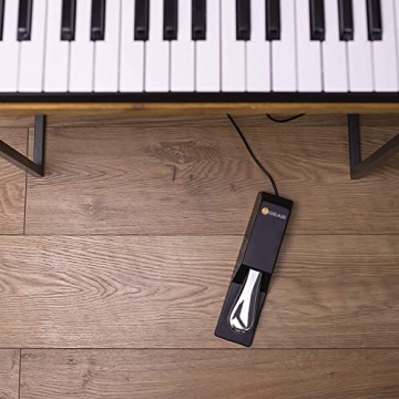 M-Audio SP-2 Universal Sustain Pedal for Keyboards