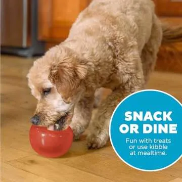 Outward Hound Lil' Snoop Interactive Treat Toy for Dogs