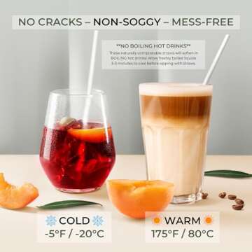 EcoPreps Bamboo Straws | 100% Compostable & Plastic-Free