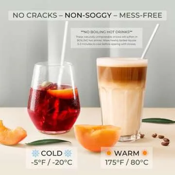 EcoPreps Bamboo Straws | 100% Compostable & Plastic-Free