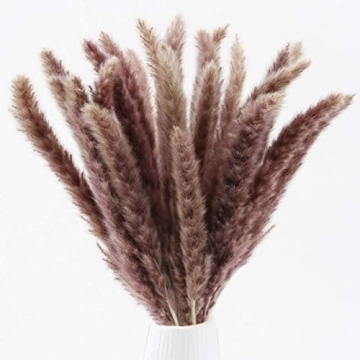 HUAESIN 25pcs Dried Pampas Grass for Boho Decor