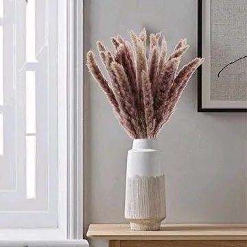 HUAESIN 25pcs Dried Pampas Grass for Boho Decor