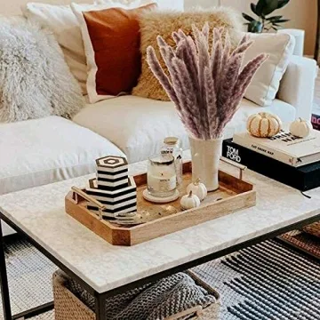 HUAESIN 25pcs Dried Pampas Grass for Boho Decor