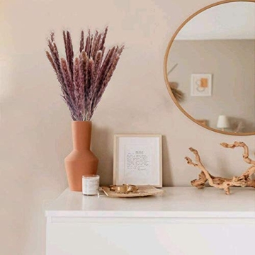 HUAESIN 25pcs Dried Pampas Grass for Boho Decor