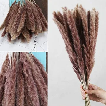 HUAESIN 25pcs Dried Pampas Grass for Boho Decor