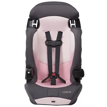Cosco Kids Finale DX 2-in-1 Booster Car Seat for Travel