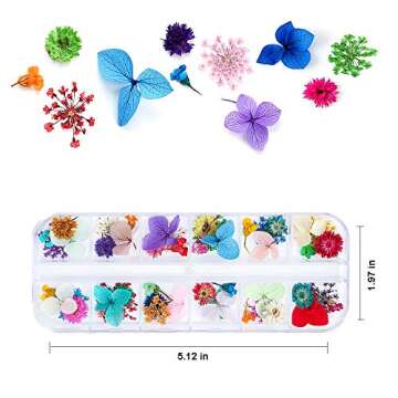 iFancer 108 Pcs Dried Flowers for Resin Nail Art 62 Colors 3D Dry Flowers for Nails 2 Boxes Small Tiny Dried Flowers for Nail Art Little Pressed Real Natural Flower Nail Art Design Decoration Supplies