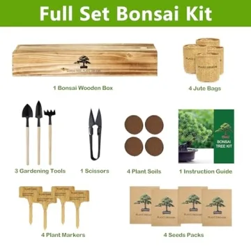 Bonsai Tree Kit - Complete Starter Set with Seeds, Tools, and Instructions for Indoor Gardening
