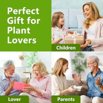 Bonsai Tree Kit - Start Growing Miniature Trees Today