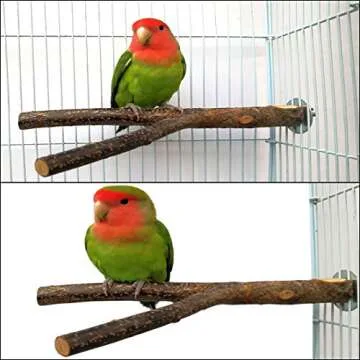 kathson 8 PCS Natural Bird Wood Perch Parakeet Standing Toy Sticks Parrot Paw Grinding Branches Cockatiels Cage Chewable Accessories for Conures Macaws Finches
