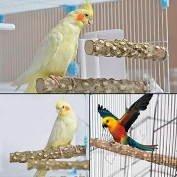 kathson 8 PCS Natural Bird Wood Perch Parakeet Standing Toy Sticks Parrot Paw Grinding Branches Cockatiels Cage Chewable Accessories for Conures Macaws Finches