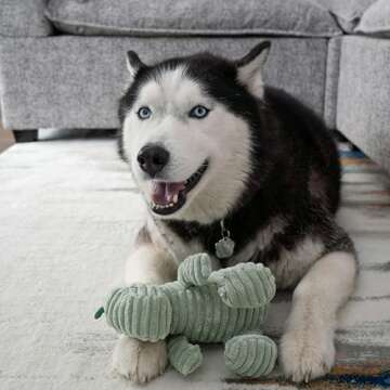 MORELIFE Naughty Dogs Dinos Plush Squeaky Toy | for Small Medium Large Dogs, All Dog Breeds, Green