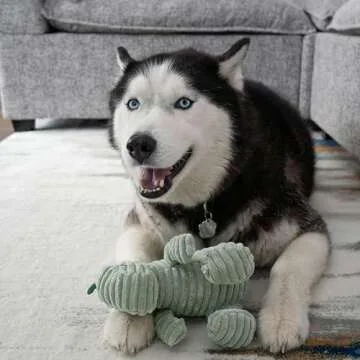 MORELIFE Naughty Dogs Dinos Plush Squeaky Toy | for Small Medium Large Dogs, All Dog Breeds, Green