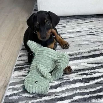 MORELIFE Naughty Dogs Dinos Plush Squeaky Toy | for Small Medium Large Dogs, All Dog Breeds, Green