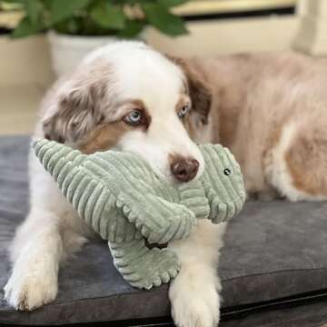 MORELIFE Naughty Dogs Dinos Plush Squeaky Toy | for Small Medium Large Dogs, All Dog Breeds, Green