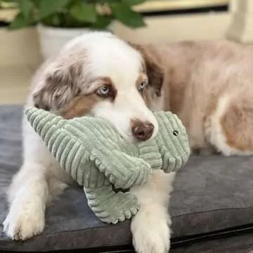 MORELIFE Naughty Dogs Dinos Plush Squeaky Toy | for Small Medium Large Dogs, All Dog Breeds, Green